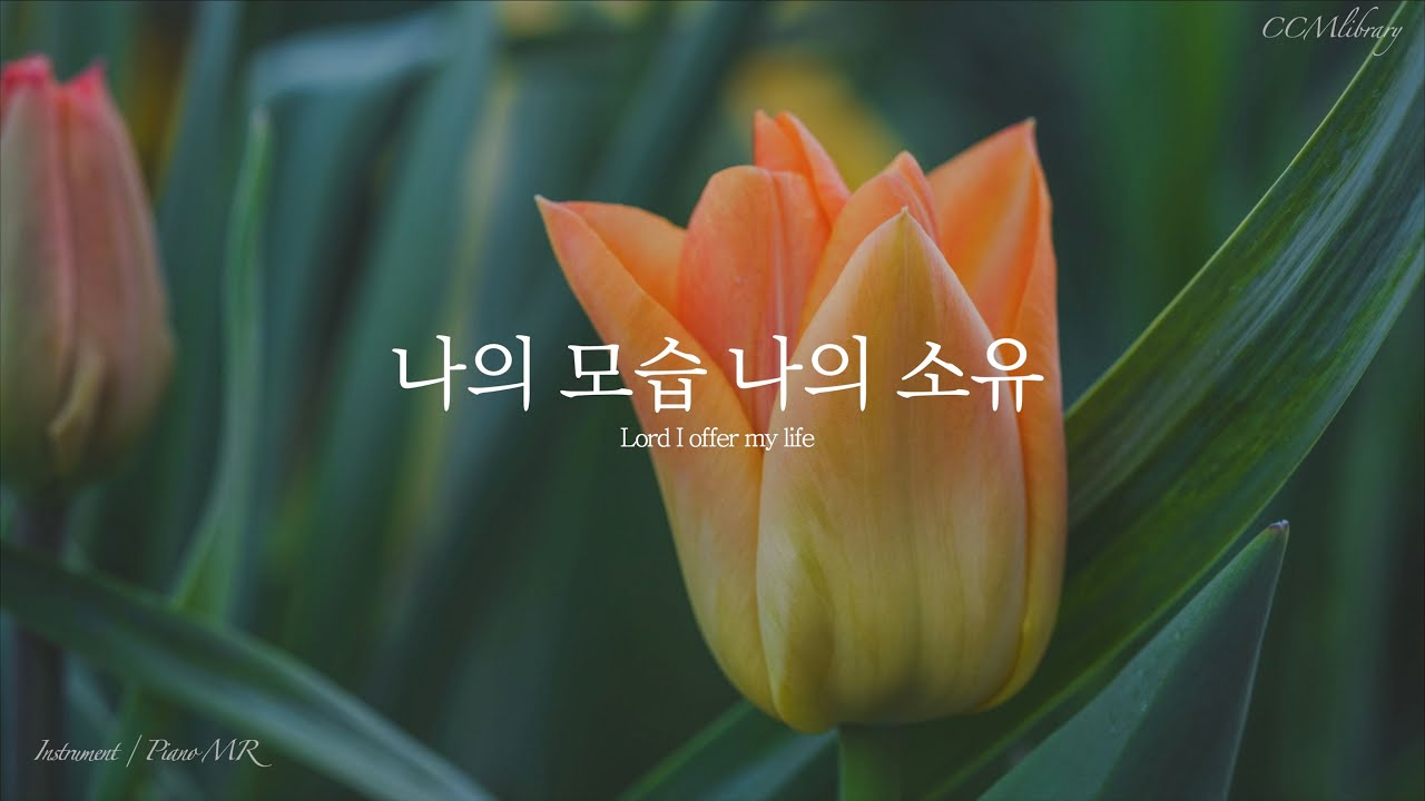 나의 모습 나의 소유 Piano MR | Lord I offer my life Piano instrumental
