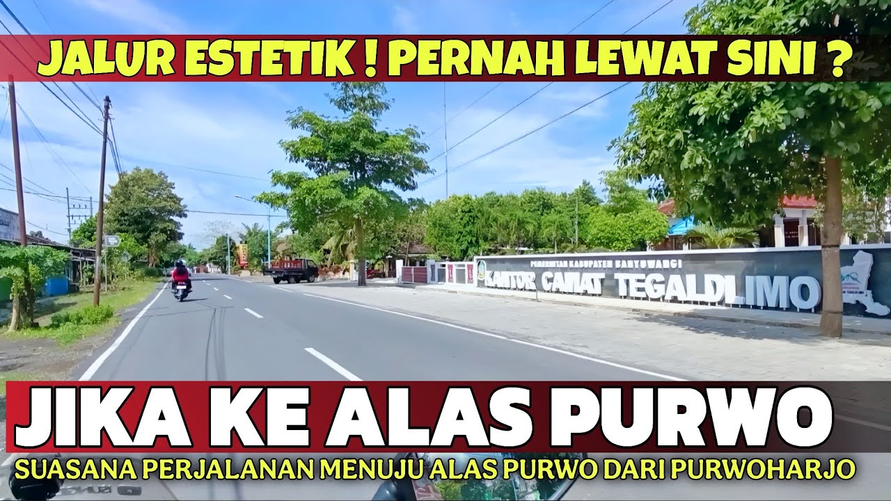 JALUR INDAH MENUJU ALAS PURWO BANYUWANGI ! | Suasana Perjalanan ke Alas Purwo Banyuwangi