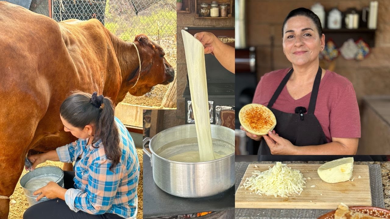 Queso Para Gratinar Tipo Mozzarella  - Queso Cocido Sonorense - Así Ordeñamos las Mujeres en Sonora