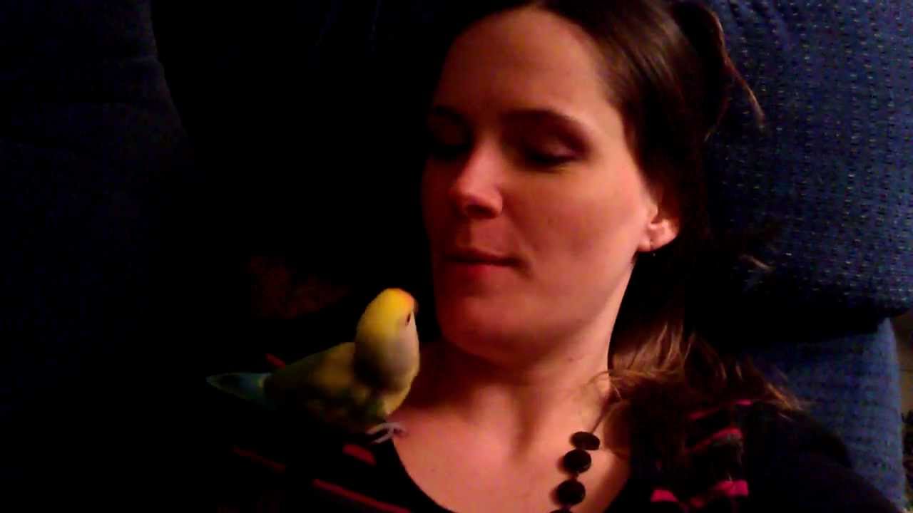 Impromptu Lovebird Silliness