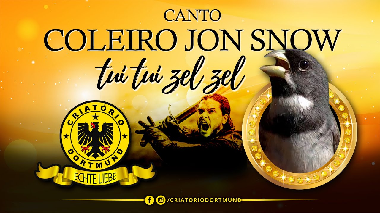 SENSACIONAL CANTO TUI TUI ZEL ZEL FIBRA  - JON SNOW