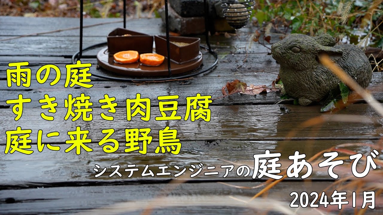 【庭あそび】2024年 冬 / すき焼き肉豆腐 / 庭の花 / 庭に来る野鳥 【ガーデニング / 庭ごはん / 庭キャンプ / 料理】