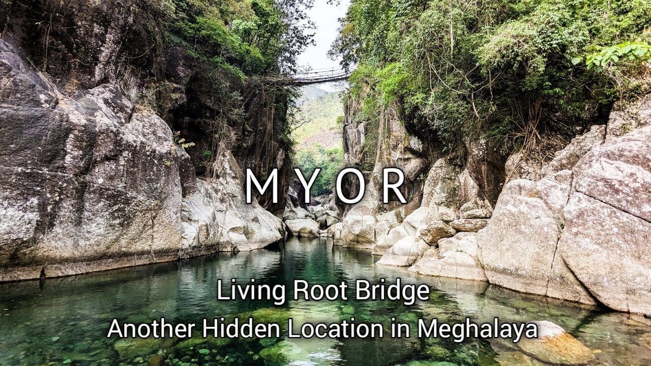 Myor Living Root Bridge, Krohiawhiar, Meghalaya. Less traveled location.  Exploring Meghalaya.