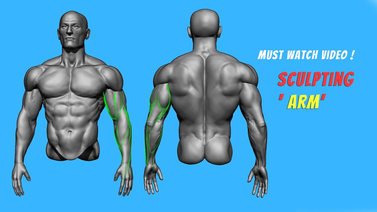 Sculpting ' Arm' in Zbrush II By ' Vijay Sir'