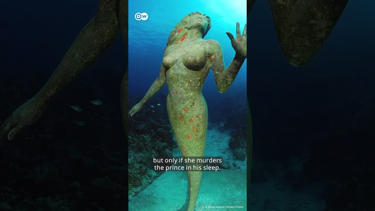 The REAL story of "The Little Mermaid" 