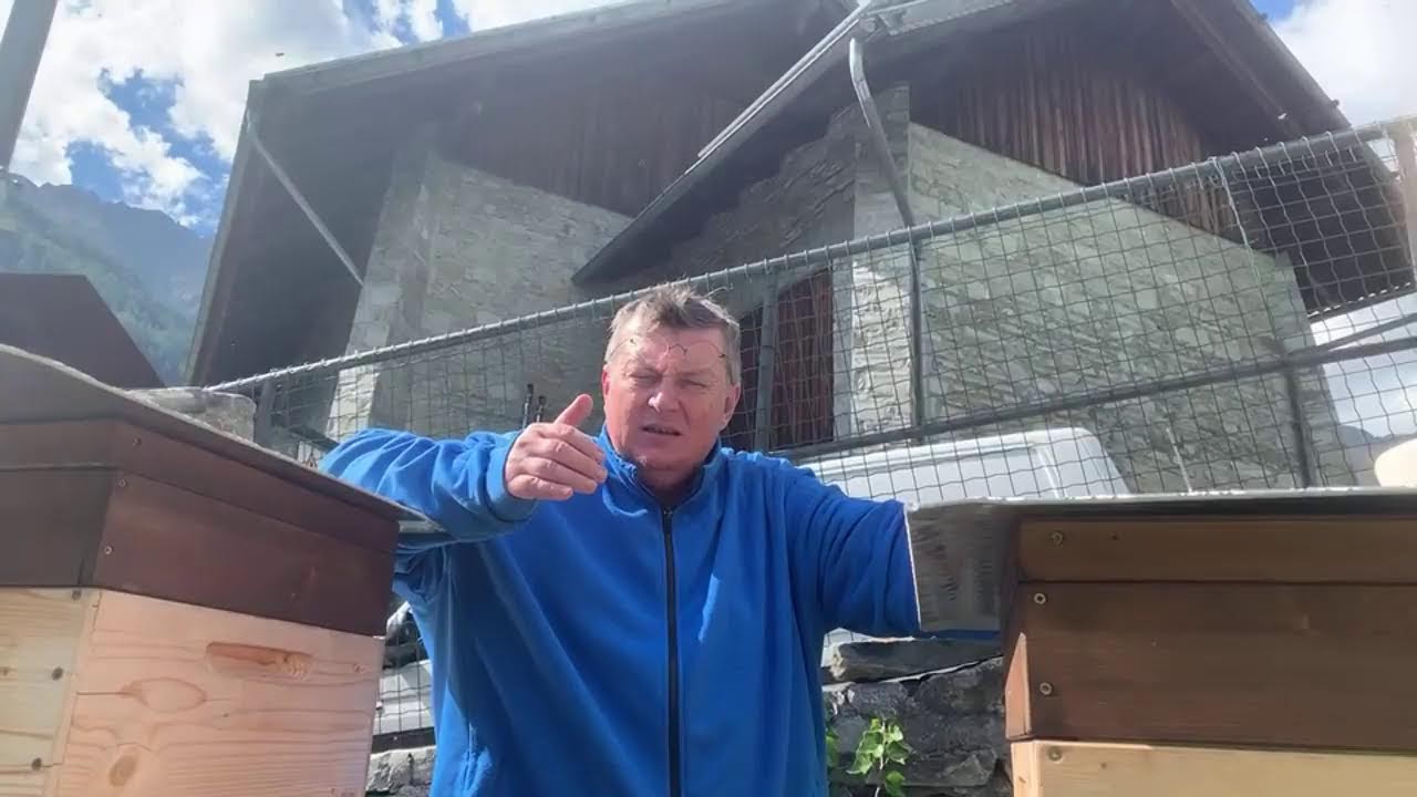 Bienen gucken mit Binder - Inspektion anlässlich der Wanderimkerversammlung in Brixen - Einheitsmass