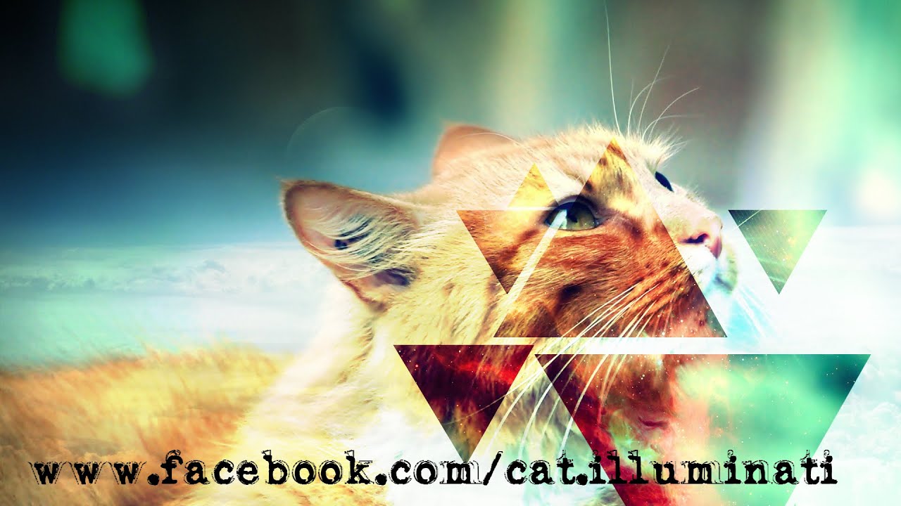 Kitty Biscuits 2015 - Full Album + Download