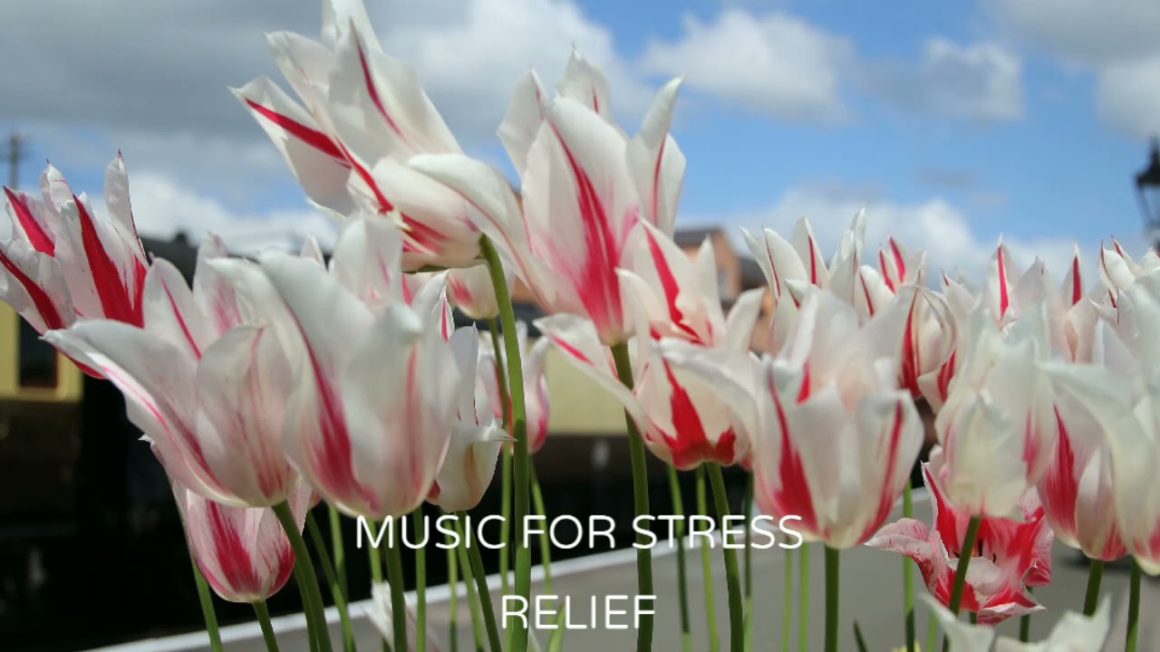 Strees relief music