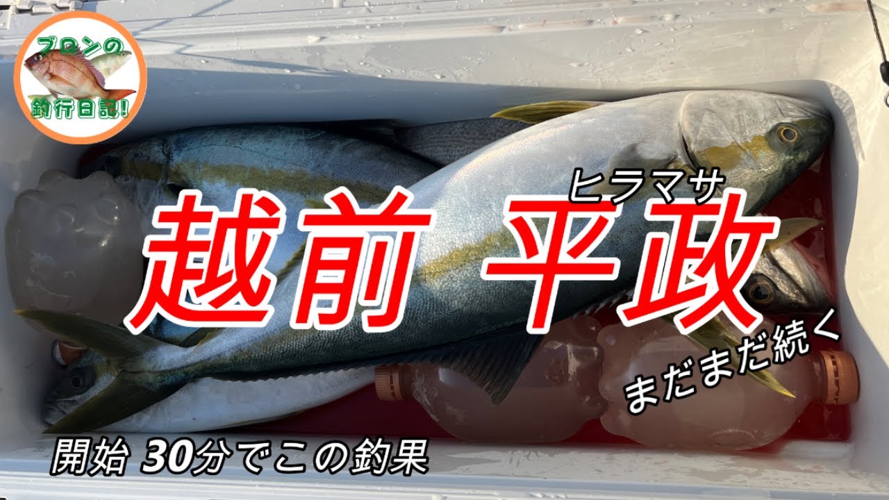 【ゴムボ 2馬力】越前の青物！ヒラマサ！パラダイス！