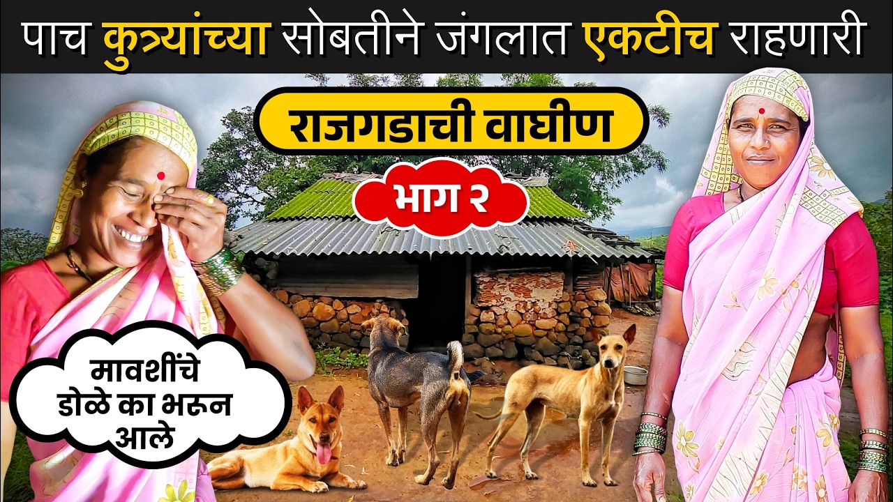 मुका प्राणी काय करू शकतो बघा | घराला 🛖 वेढा घालून पाच शिकारी 🦮कुत्रे कसे करतात या मावशींचे रक्षण बघा