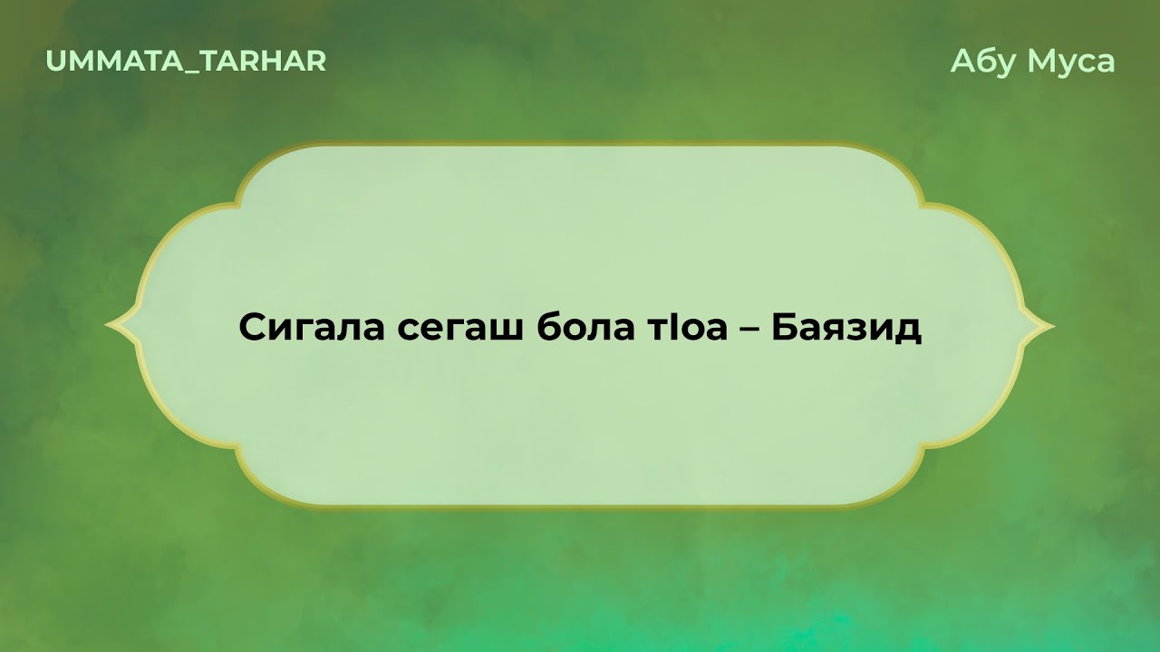 05 Сигала сегаш бола тIоа – Баязид
