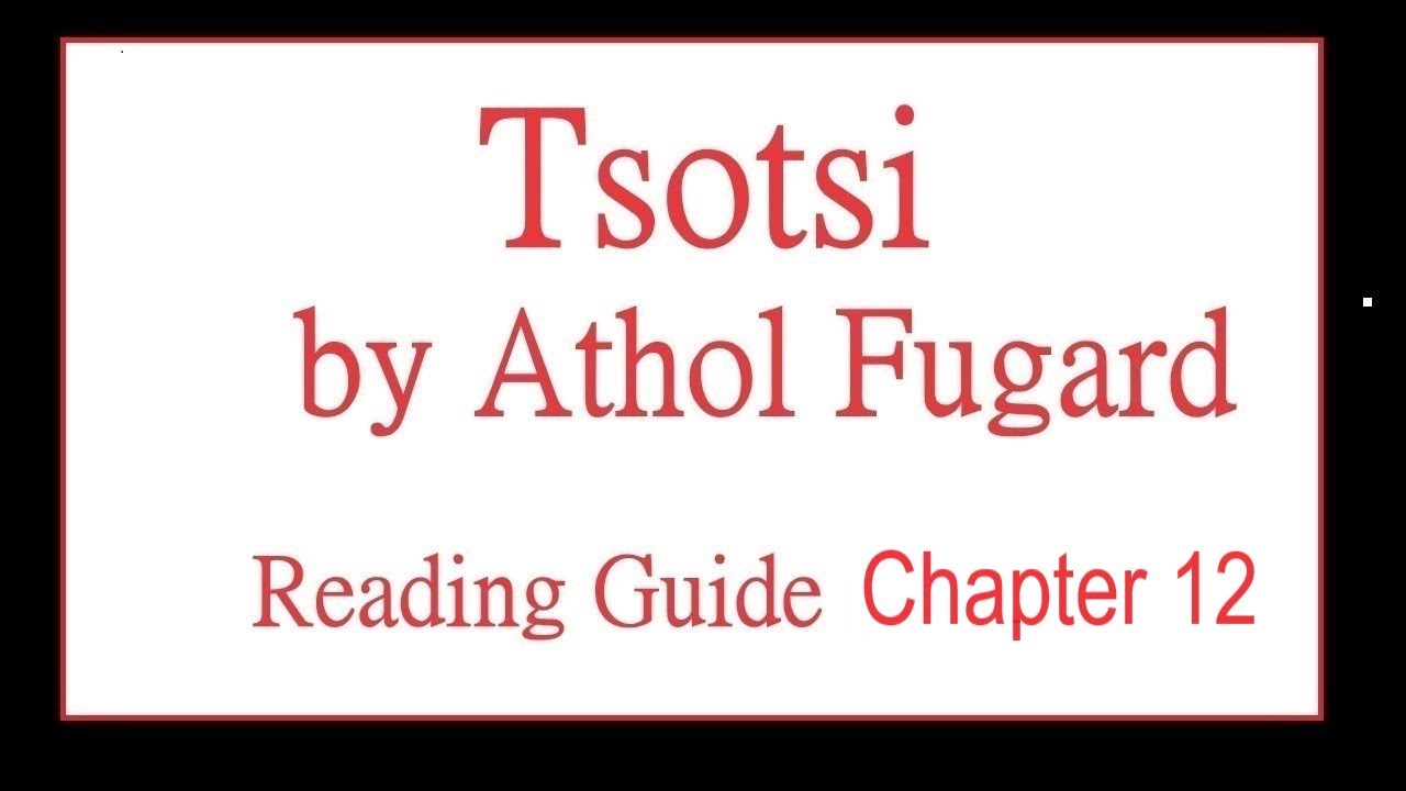 Tsotsi  Chapter 12 Reading Guide