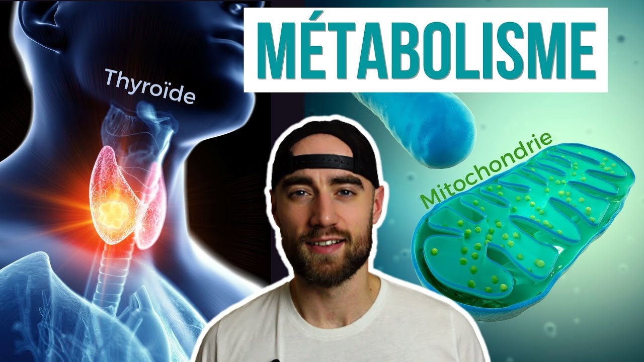 Tout COMPRENDRE sur le METABOLISME