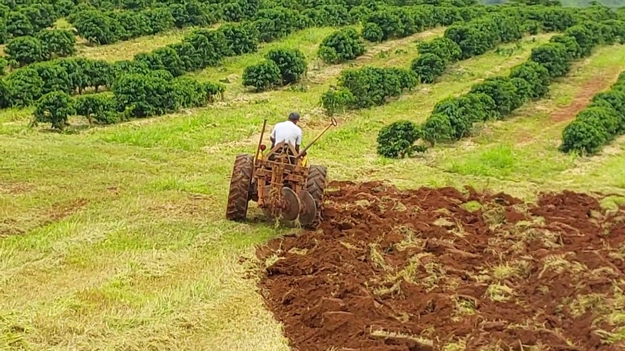 Valemet 685 fruteiro arando terra