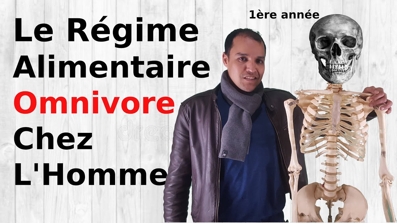 Le régime alimentaire omnivore chez l'Homme 1AC