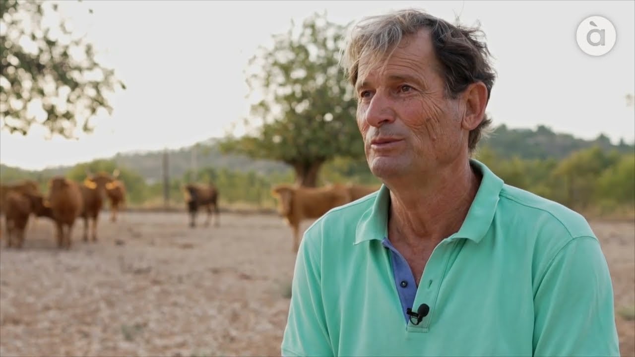 👨‍🌾 Héctor López, ramader amb bous de casta navarresa a Chiva