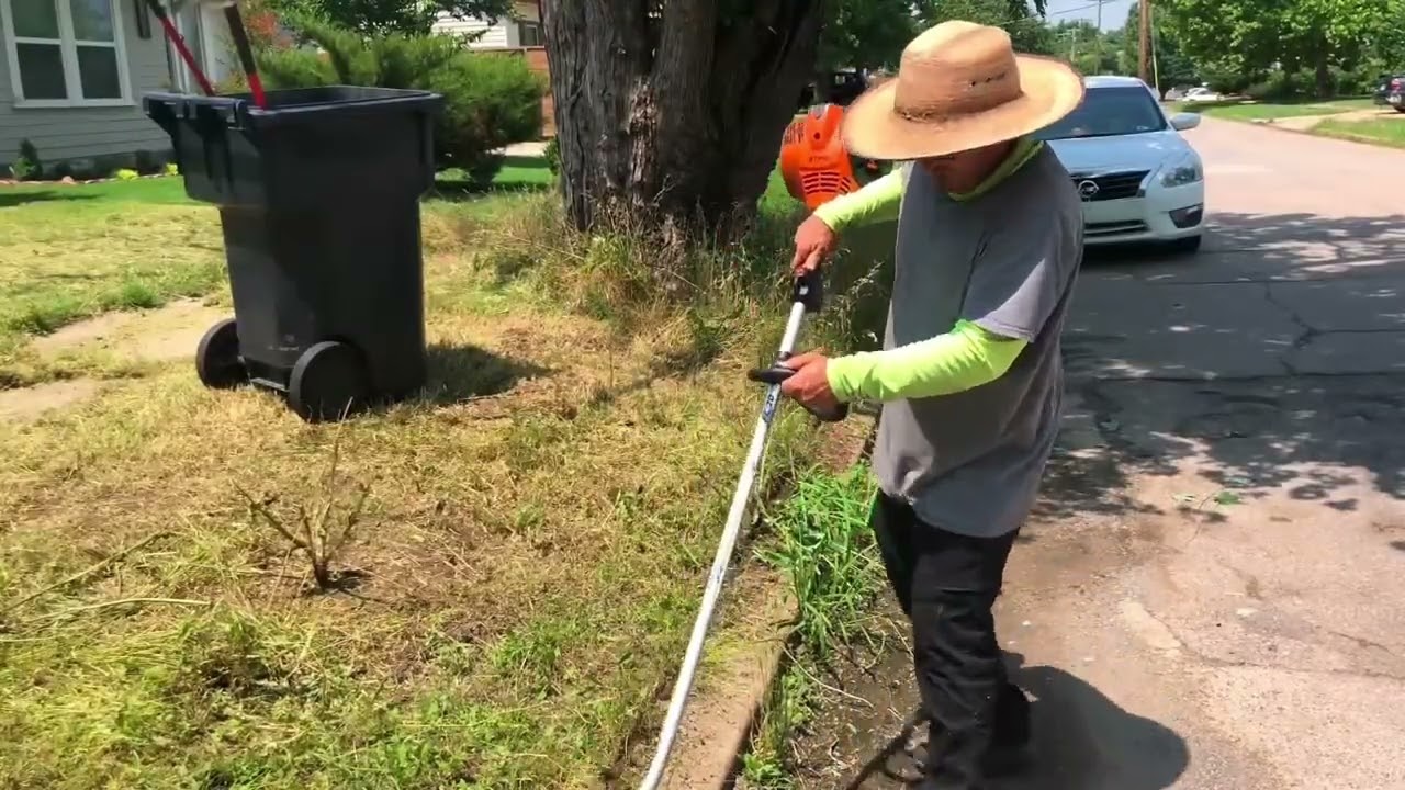 Transformation of a overgrown lawn with a sidewalk that’s very overgrown 