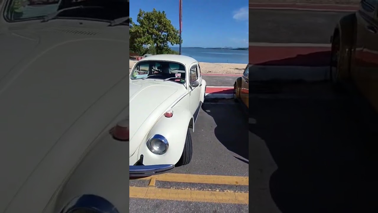 Fusca os mais colorido carros antigos na &aacute;rea ferrugem na veia #skaraveos #besouro #escarabajo