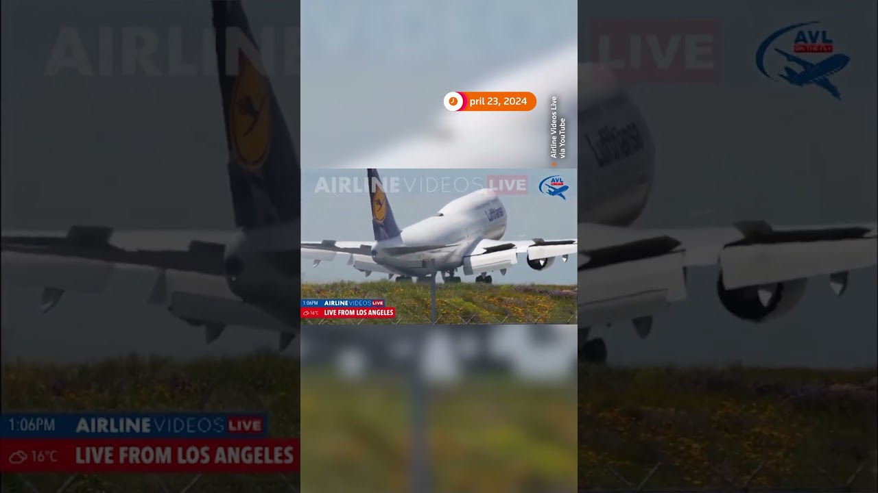 Livestream shows Lufthansa plane's rough landing | REUTERS