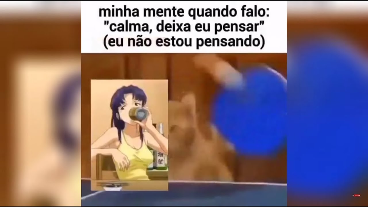 COMPILADO DE SHITPOST E MEMES DE BAIXA QUALIDADE  #223