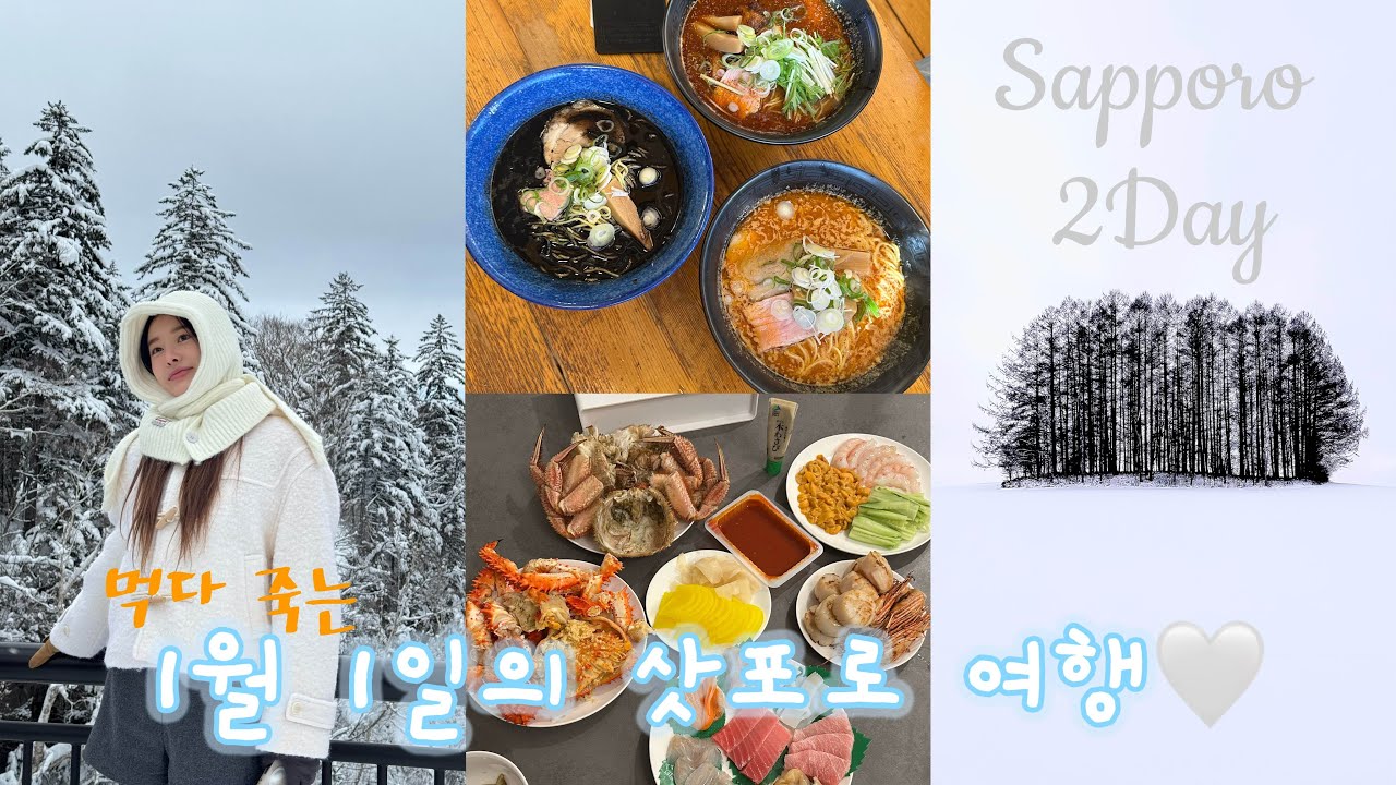 1월1일 삿포로 여행 2일차💕비에이 크리스마스트리 대신 란도만🌲흰수염폭포🤍니조시장에서 흥정하기#sapporo #삿포로여행 #흰수염폭포 #니조시장 #비에이