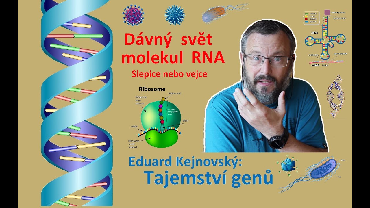 Dávný svět molekul RNA (Tajemství genů 7)