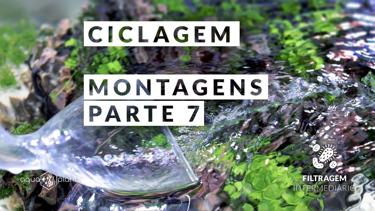 Aquário Plantado - Ciclagem - Montagens Parte 7 - Filtragem - Intermediário
