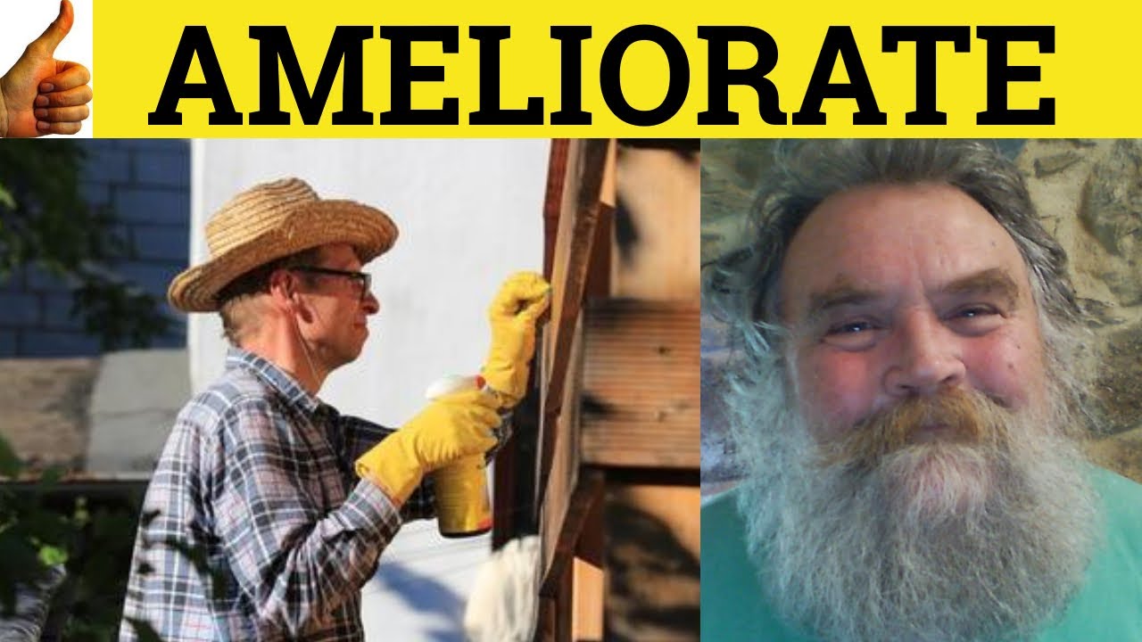 🔵 Ameliorate - Ameliorate Meaning - Ameliorate Examples - Ameliorate Definition - Formal Vocabulary