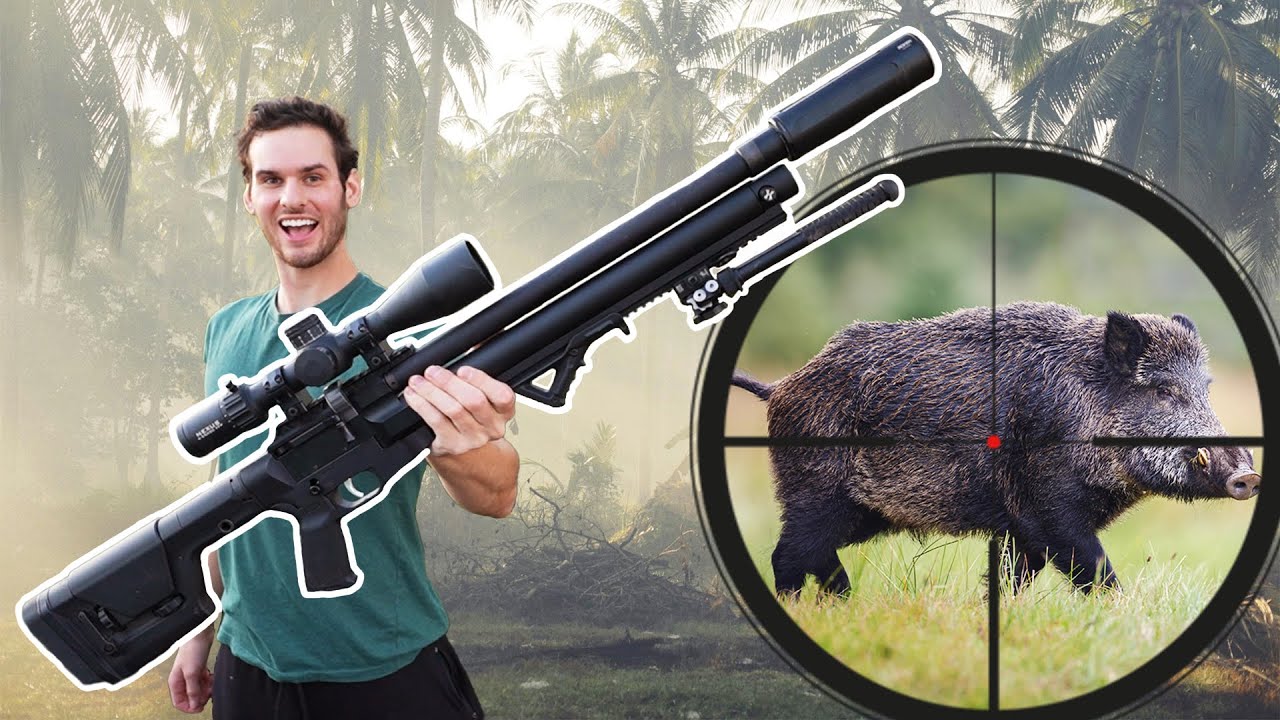 Hunting Wild Hogs with My .30 PCP Air Rifle!
