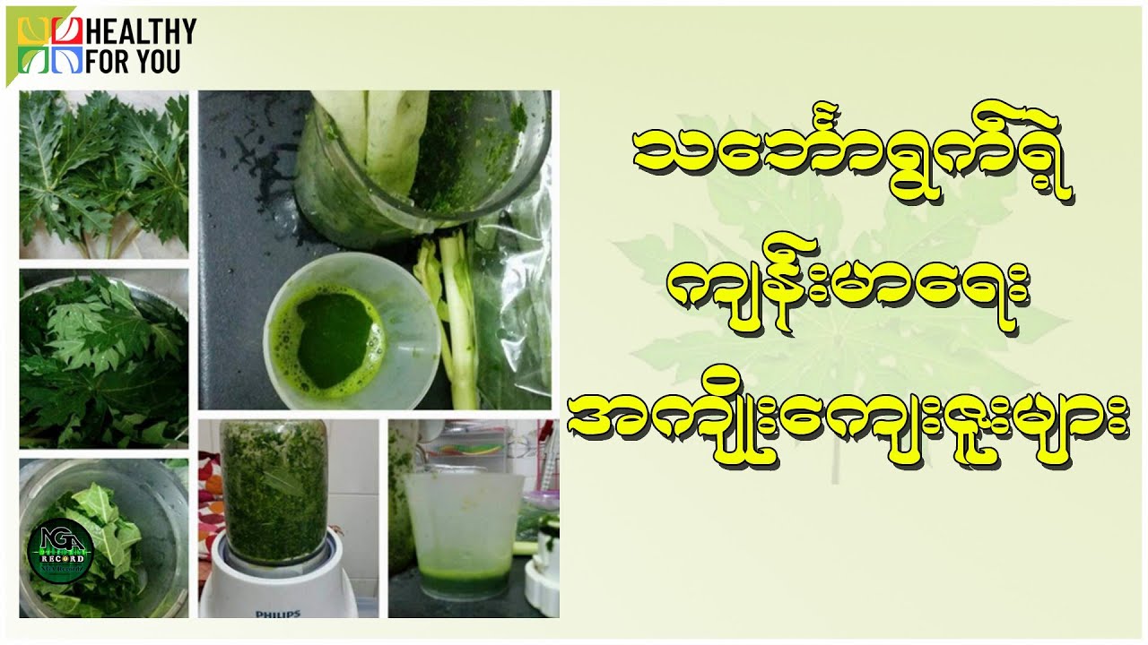 သင်္ဘောရွက်ကပေးတဲ့ ကျန်းမာရေးအကျိုးကျေးဇူးများ  / Healthy For You Myanmar \