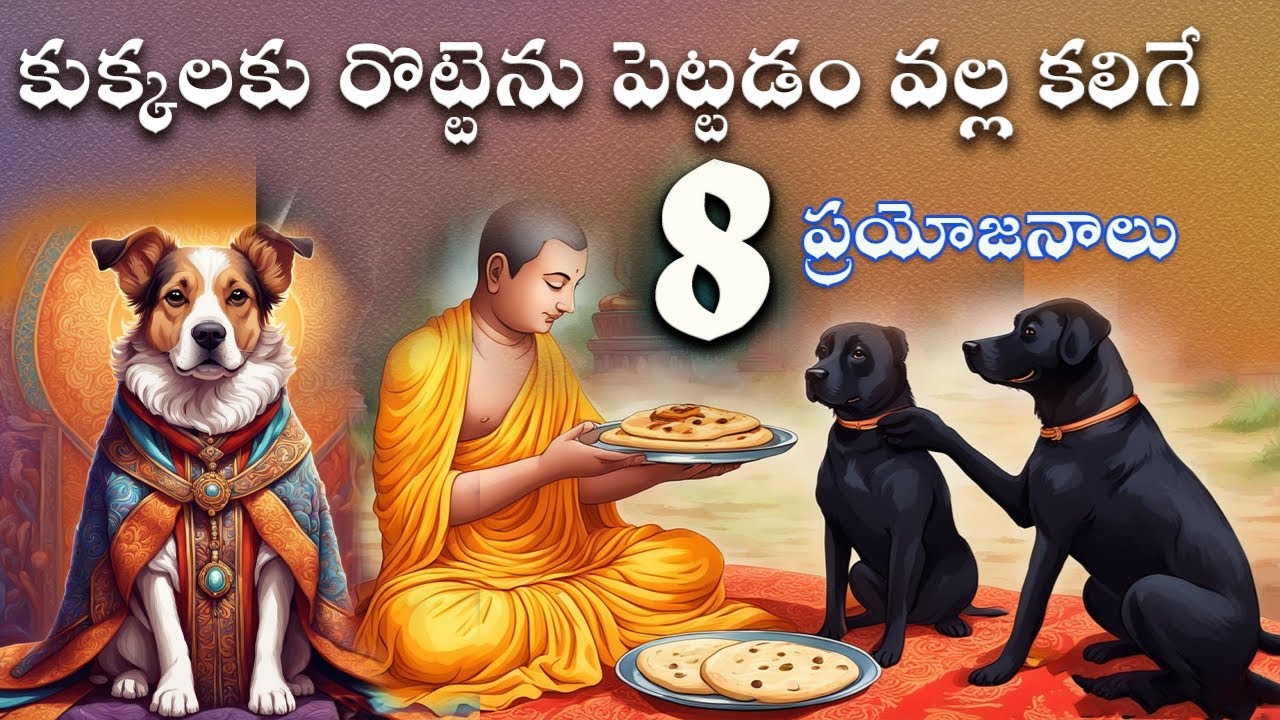 కుక్కకు రొట్టెను పెట్టడం ద్వారా కలిగే 8ప్రయోజనాలు|Moral Stories|Telugu Stories|Sanatana Vedika|Karma
