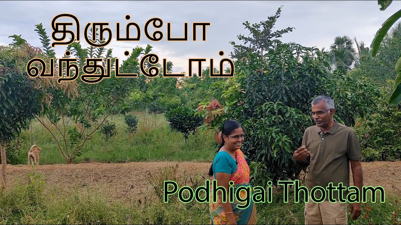 திரும்போ வந்துட்டோம்! 😍😍 | #farming