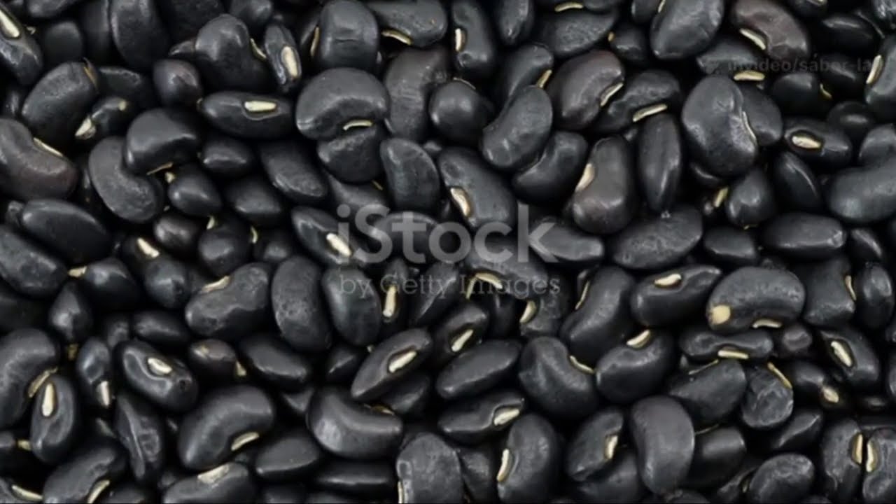 El Secreto Final de los Frijoles Negros Textura VELVET