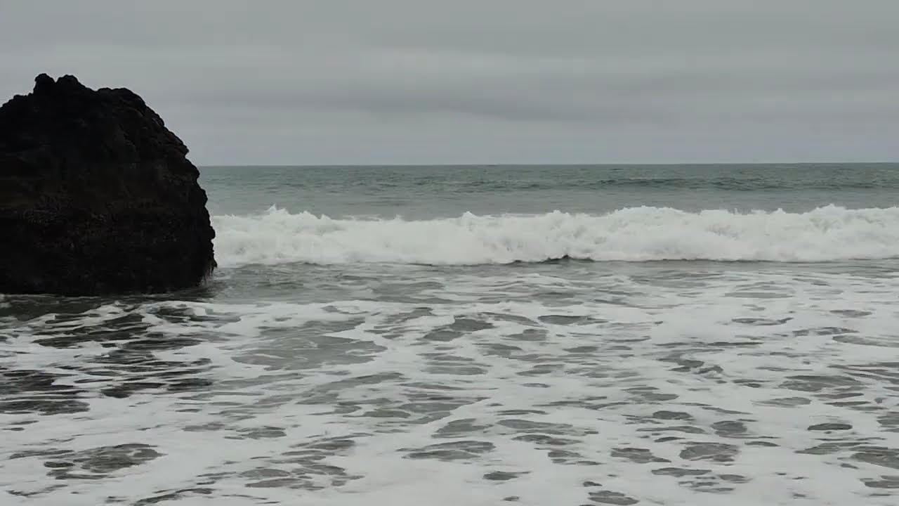 Goat Rock Beach 6, Sonoma Coast, Jenner, California - May 28, 2025