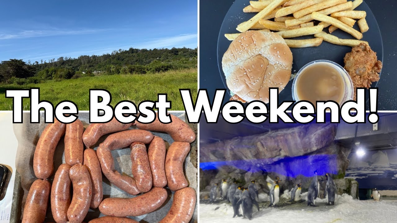 Homemade Sausages, Kelly Tarlton’s and Beach Walks | Vlog #4 