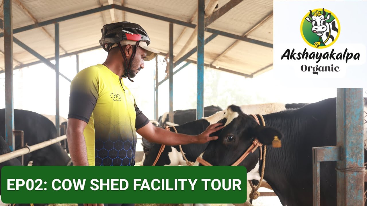EP02 - Model Cow Shed tour: - Akshayakalpa Organic Circuit 2024