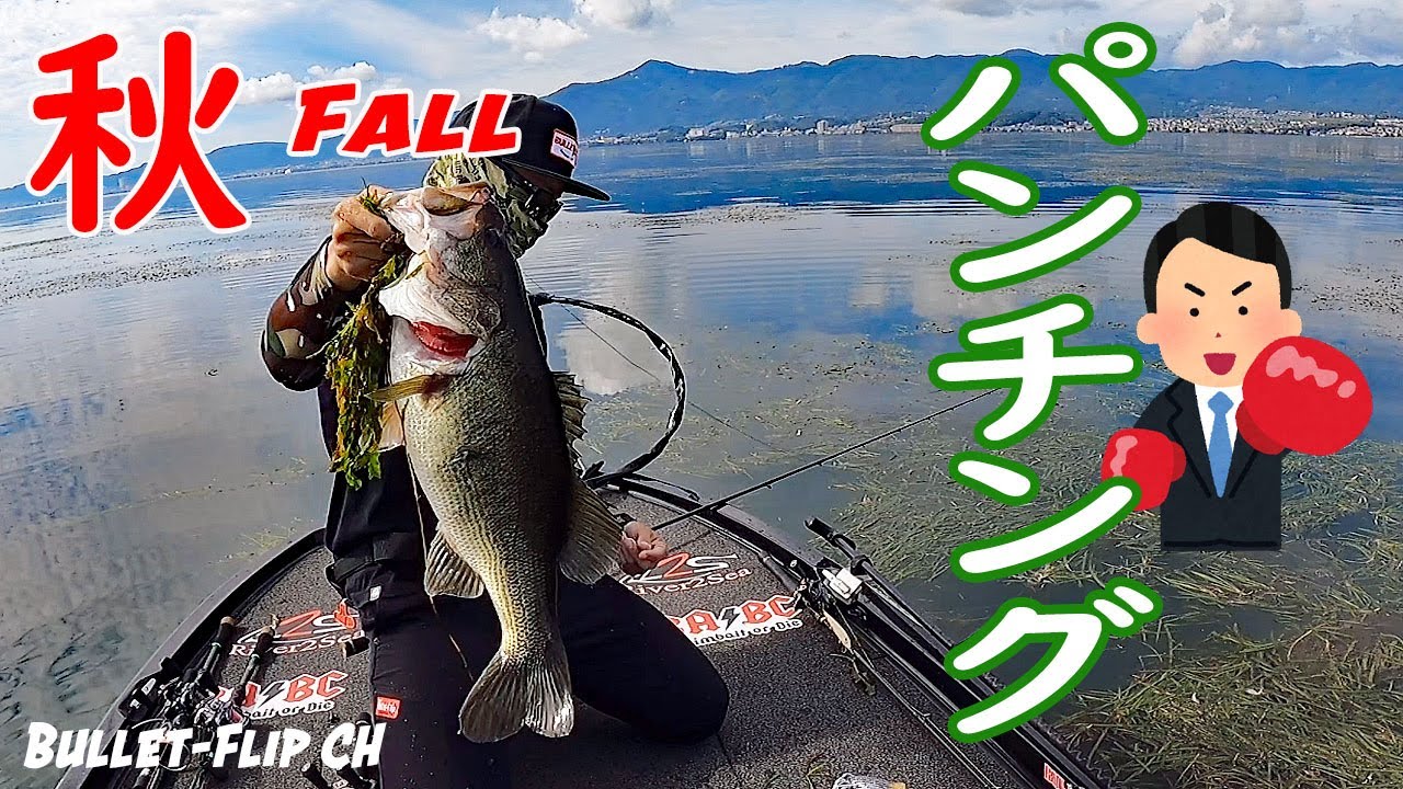 秋の琵琶湖パンチング！シャローをやり切る。出るか？ビッグフィッシュ！