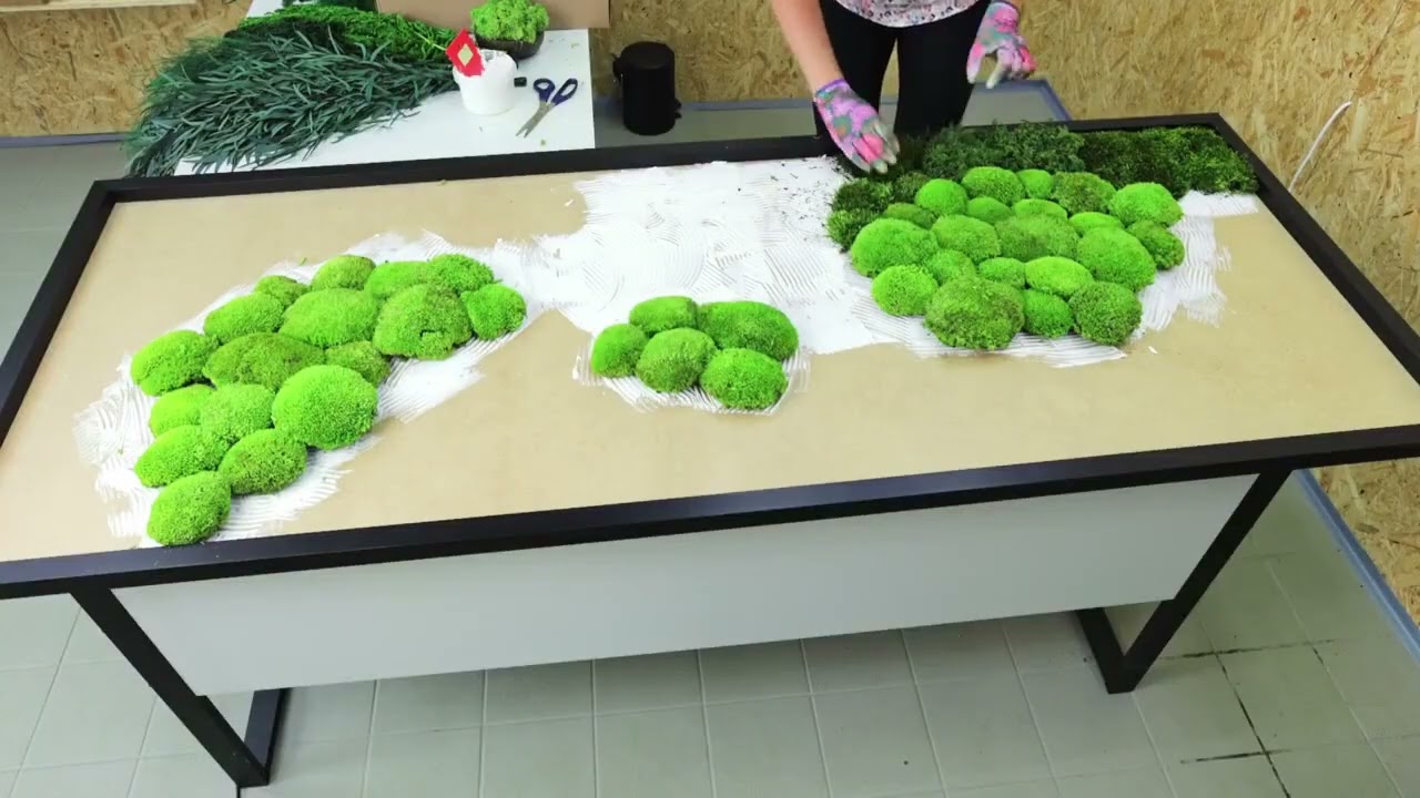 Tutoriel : Comment créer un mur de mousse et un tableau végétal