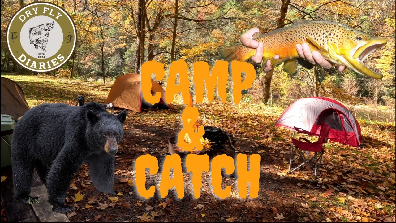 Camp & Catch: A Weekend Fishing & Camping Pine Creek Valley In Pennsylvania