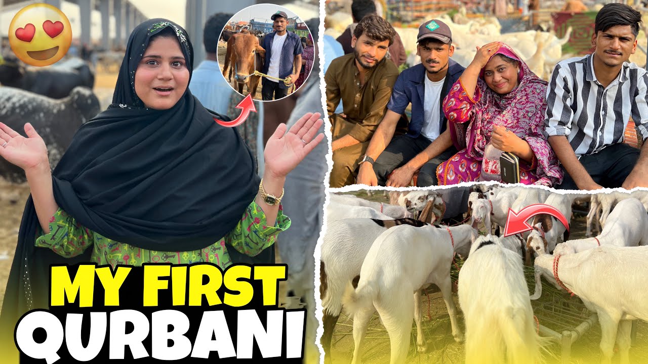 Pehli Qurbani Apni Kamai Se🥺❤️| Kitny ka Aya Aur Kya khareeda|😳