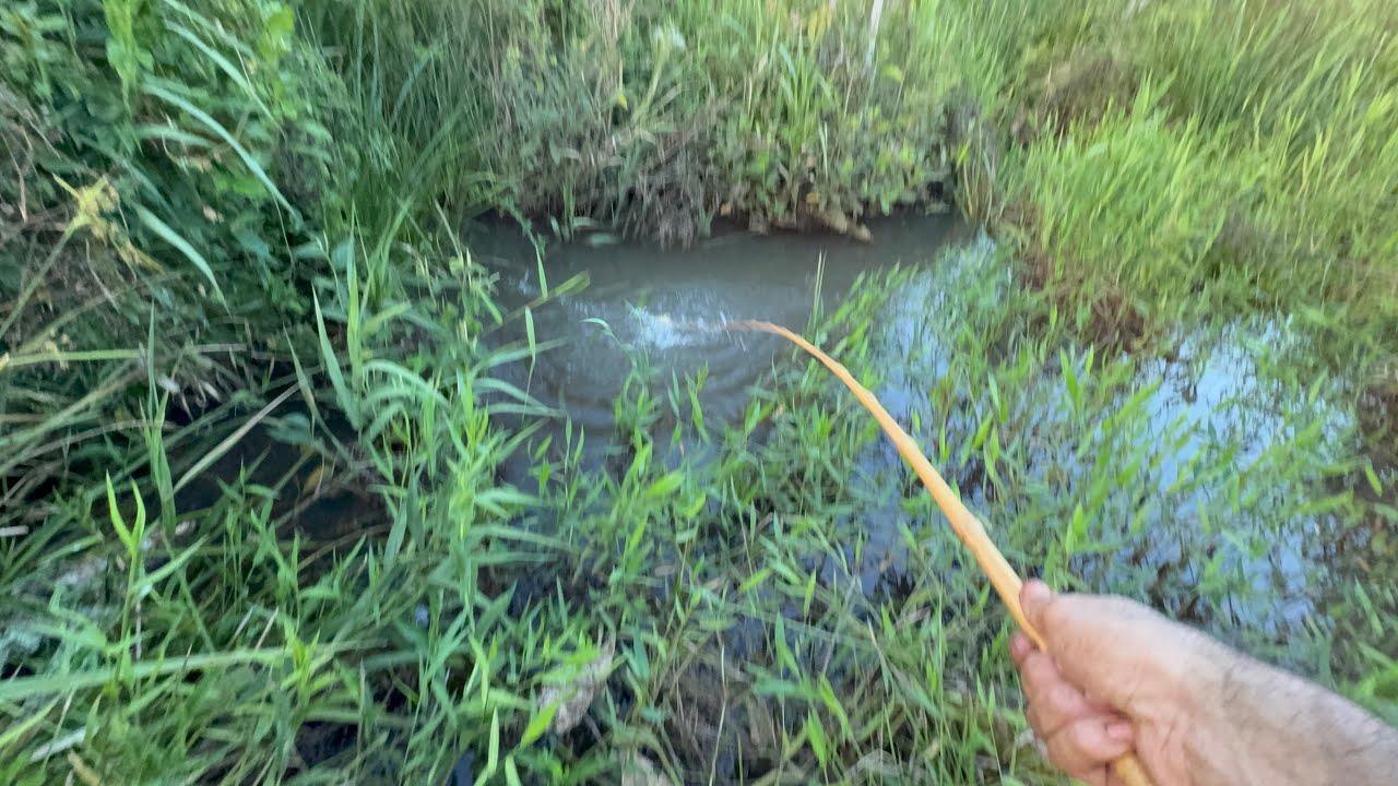 ESSA PESCARIA FOI BRUTA COM UM MONTE DE INPREVISTO MAIS A MISTURA TA NO GEITO!!!