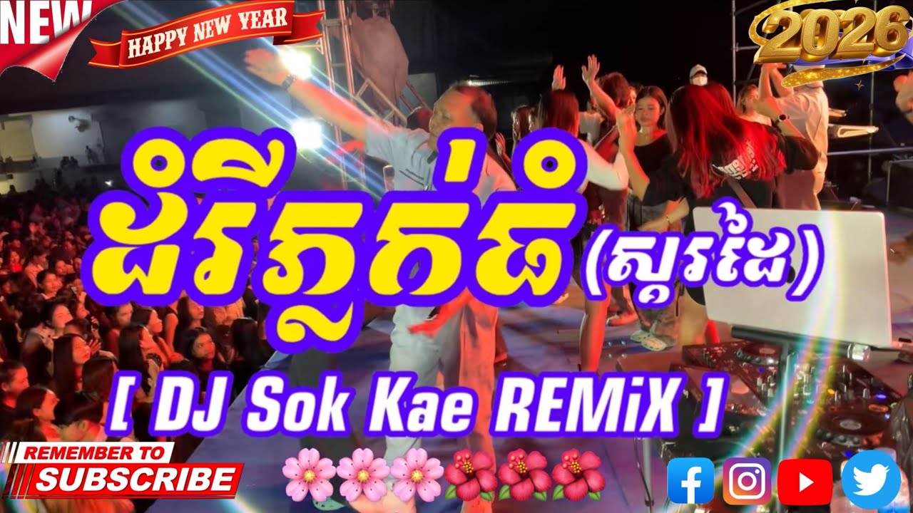 ដំរីភ្លក់ធំ -ចង្វាក់ស្គរដៃ 2026 [ DJ Sok Kae REMiX ]