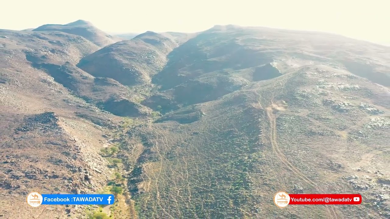 كما لم ترها من قبل : الصحراء المغربية الشرقية  في حلة شتوية خلابة و مناظر طبيعية أخاذة