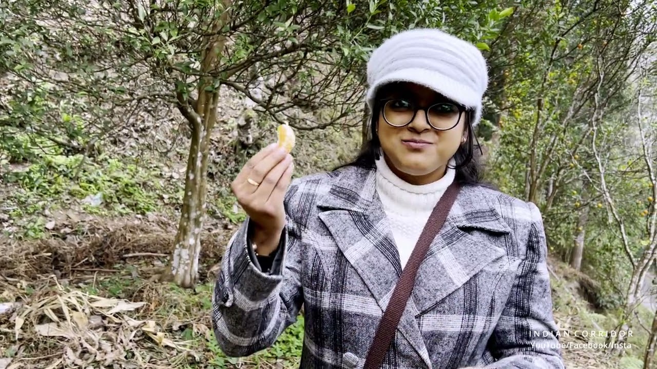 মোবাইল টাওয়ারের কারণে Bara Mangwa and Chota Mangwa কমলা বাগানের ক্ষতি হয়েছে |