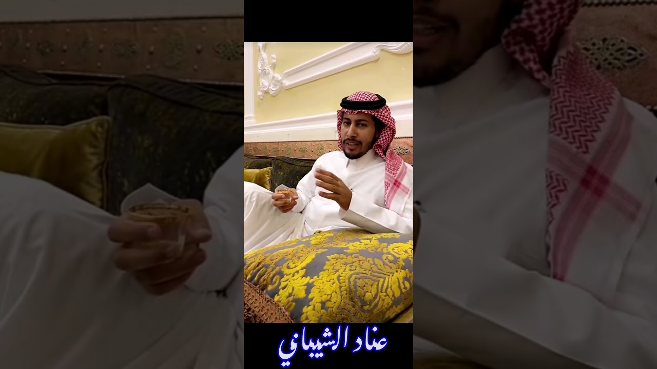 #عناد الشيباني تغافلت واجد لين براني القانون