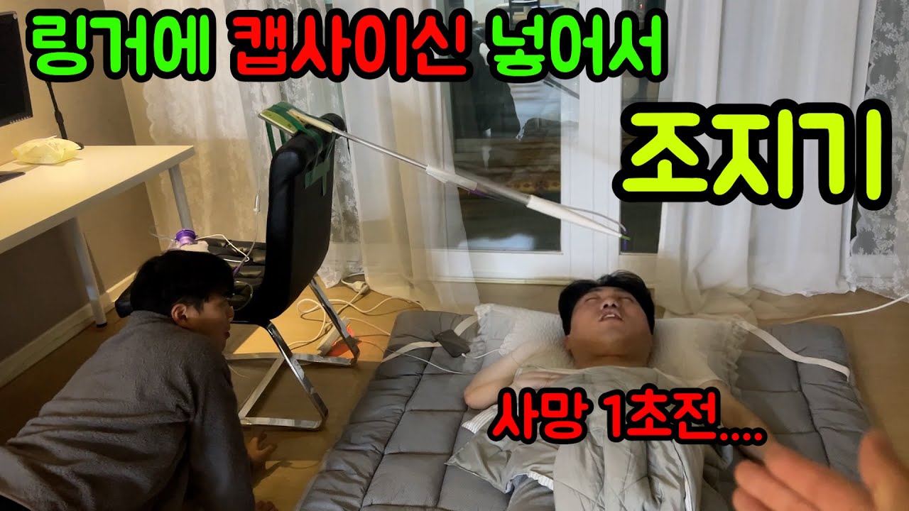 약해진 친구들 링거 놔줬습니다ㅋㅋㅋ