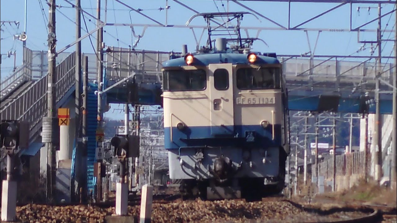 【糸崎駅】EF65の発車を待つ　2026/1  
