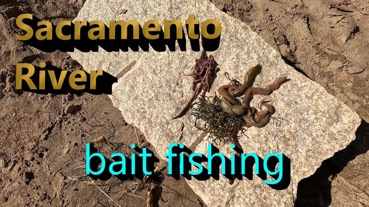 2025 Sacramento River Fishing