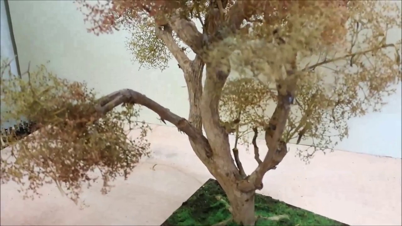 COSTRUZIONE DI UN ALBERO PER PRESEPE O DIORAMA