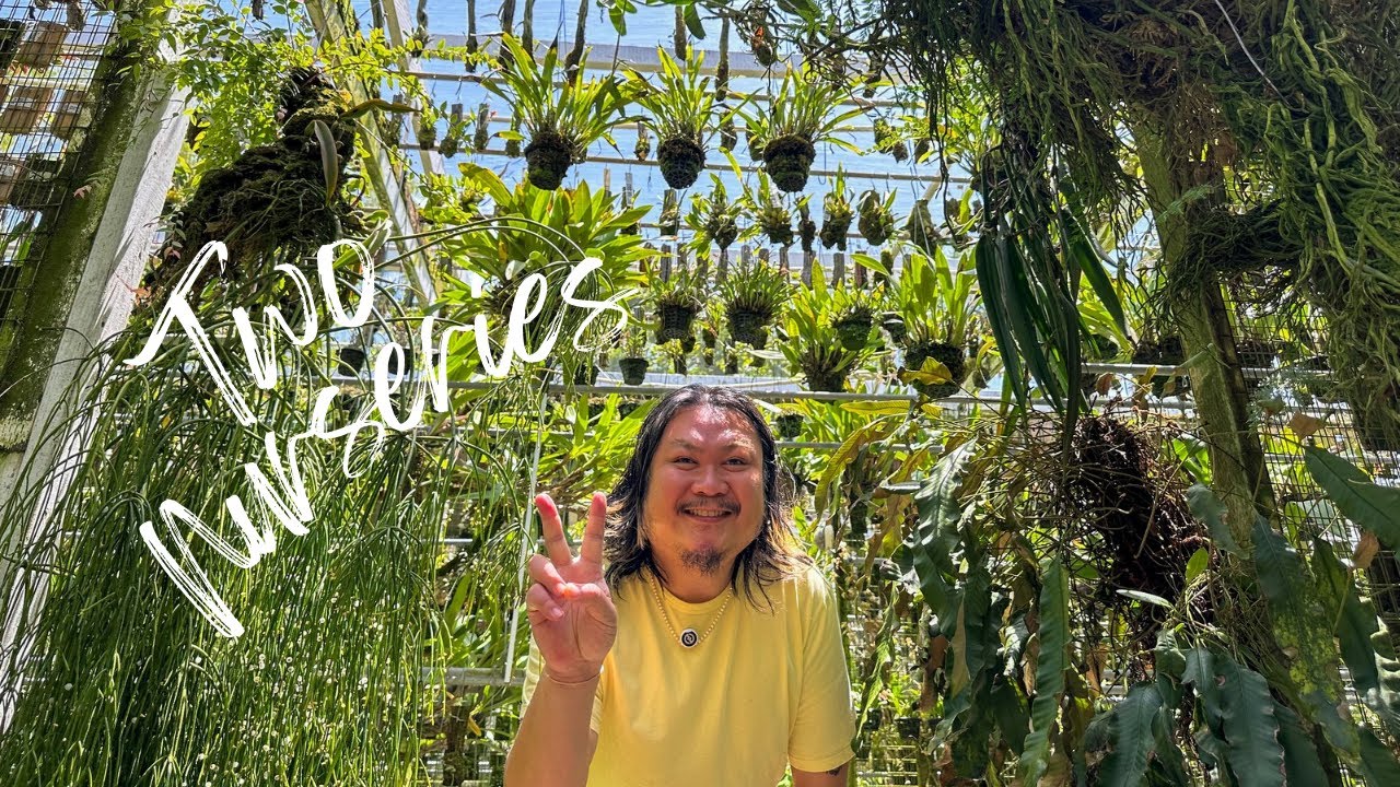 The Rare Plant SPECIES Specialist (Chef’s Kiss)